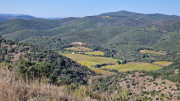 Cabrieres_24_11-75