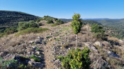 Cabrieres_24_11-78