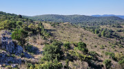 Cabrieres_24_11-81