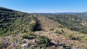 Cabrieres_24_11-82