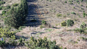 Cabrieres_24_11-83