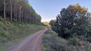 Cabrieres_24_11-91