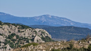 Cabrieres_24_11-94