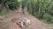 Guilhem_24_09-117