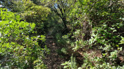 Guilhem_24_09-41