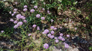 Guilhem_24_09-56