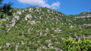 Guilhem_24_09-67