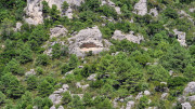 Guilhem_24_09-68
