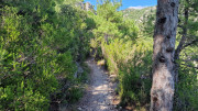 Guilhem_24_09-69