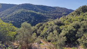Guilhem_24_09-8