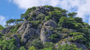 Guilhem_24_09-80