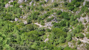 Guilhem_24_09-82