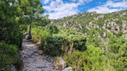 Guilhem_24_09-83
