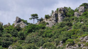 Guilhem_24_09-85
