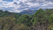 Guilhem_24_09-91