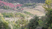 Salagou_24_04-115