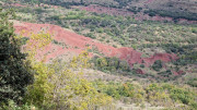 Salagou_24_04-118