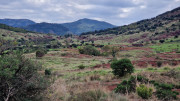 Salagou_24_04-140