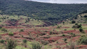Salagou_24_04-141