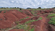 Salagou_24_04-147
