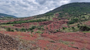 Salagou_24_04-150