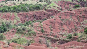 Salagou_24_04-151