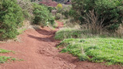 Salagou_24_04-157