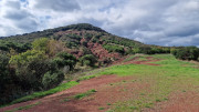 Salagou_24_04-165