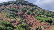 Salagou_24_04-166