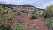 Salagou_24_04-176