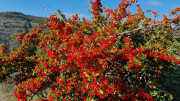 Salagou_24_04-18