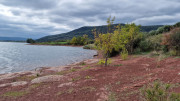 Salagou_24_04-187
