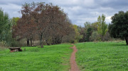 Salagou_24_04-219