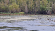 Salagou_24_04-227