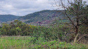 Salagou_24_04-235