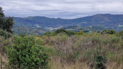 Salagou_24_04-81