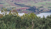 Salagou_24_04-84
