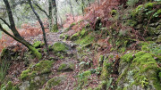 Peyrolles_25_01-103