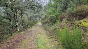 Peyrolles_25_01-145