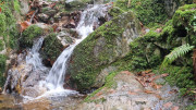 Peyrolles_25_01-29