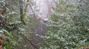 Peyrolles_25_01-30