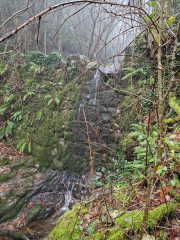 Peyrolles_25_01-31