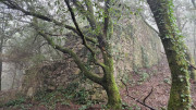Peyrolles_25_01-32