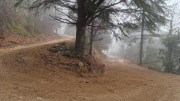 Peyrolles_25_01-37
