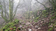Peyrolles_25_01-40