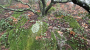 Peyrolles_25_01-43