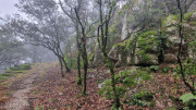 Peyrolles_25_01-46