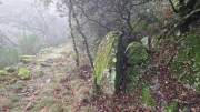 Peyrolles_25_01-48