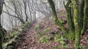 Peyrolles_25_01-54