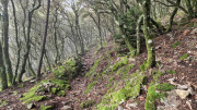 Peyrolles_25_01-56